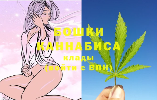 дурь Бронницы