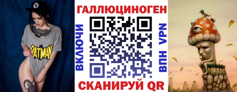 маркетплейс как зайти  Бородино  Псилоцибиновые грибы прущие грибы 