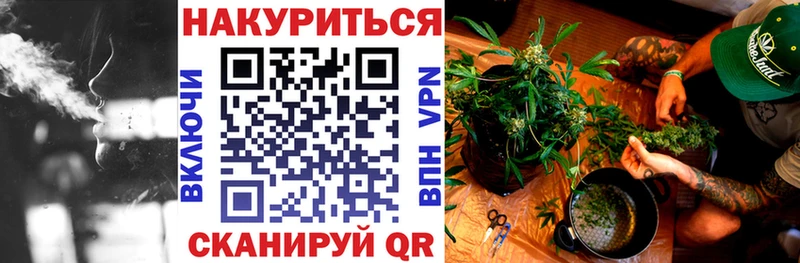 Каннабис VHQ  где продают наркотики  Бородино 